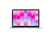Ultrabooks