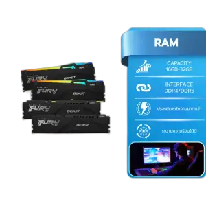 Kingston Fury Beast 32GB DDR5-5600 — 32GB (2x16GB) · DDR5-5600 · CL36